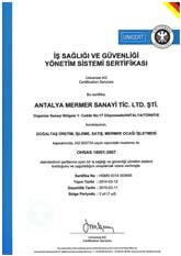 İş Sağlığı